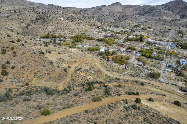 a view of a dry field covered with trees
