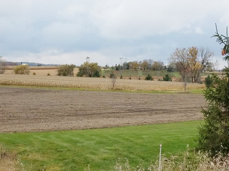 L127 Lucas Sun Prairie Sun Prairie, WI 53590 - Photo 3 of 21