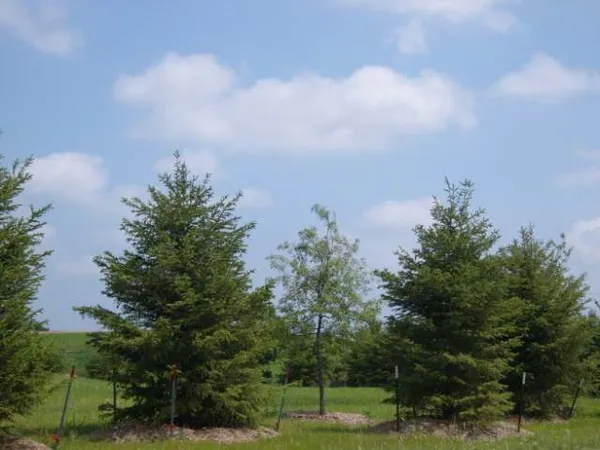 $209,000 | L127 Lucas Sun Prairie, Sun Prairie, WI 53590