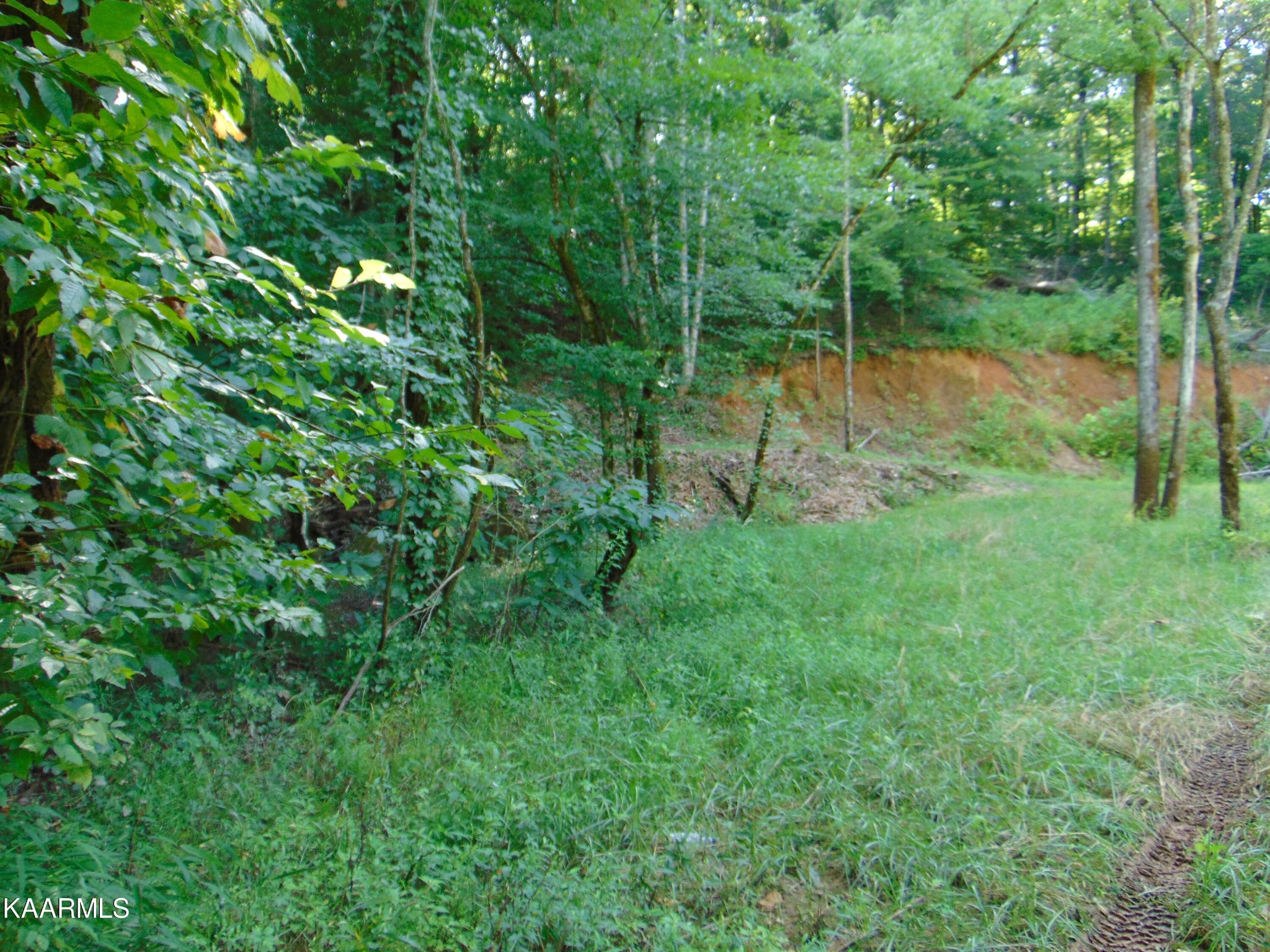 41 Athens Road Delano, TN 37325 - Photo 32 of 34