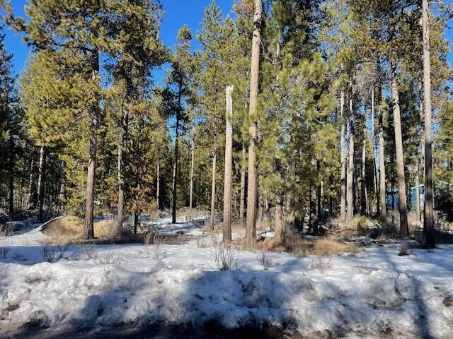 17062 Indio Road Bend, OR 97707 - Photo 3 of 10 3
