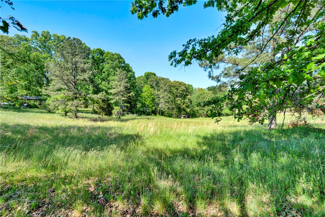 0 Earle Parcel C Road Central, SC 29630 - Photo 2 of 9 A verdant field under a clear sky, surrounded by a lush treeline, offers a serene natural setting.