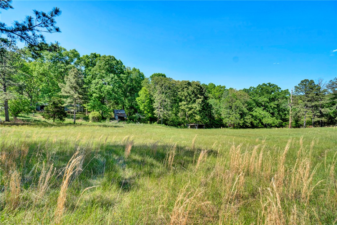 0 Earle Parcel C Road Central, SC 29630 - Photo 4 of 9 Expansive green fields meet a tranquil tree line, creating an idyllic natural setting for a private estate.