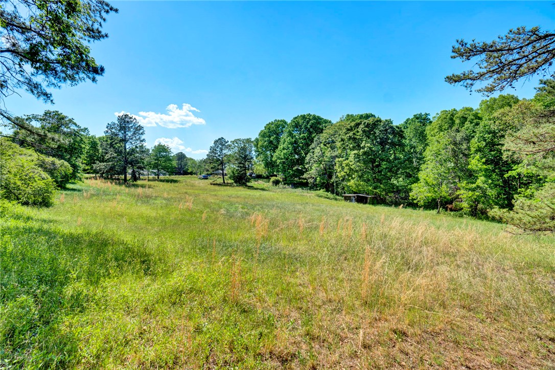 0 Earle Parcel C Road Central, SC 29630 - Photo 5 of 9 Expansive green spaces and lush foliage characterize this vast land, offering serene outdoor living.