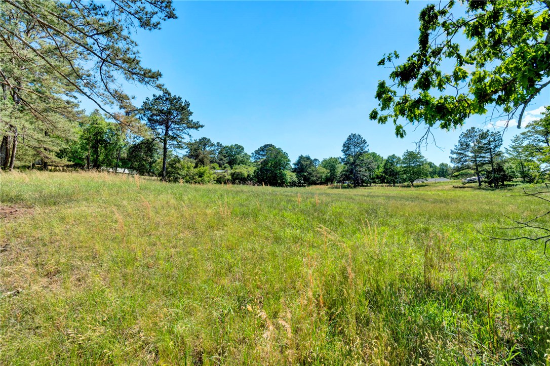 0 Earle Parcel C Road Central, SC 29630 - Photo 6 of 9 Expansive green fields offer a serene escape, surrounded by verdant trees under an open sky.