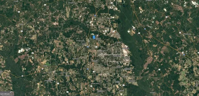 a close up of a plant in a mirror