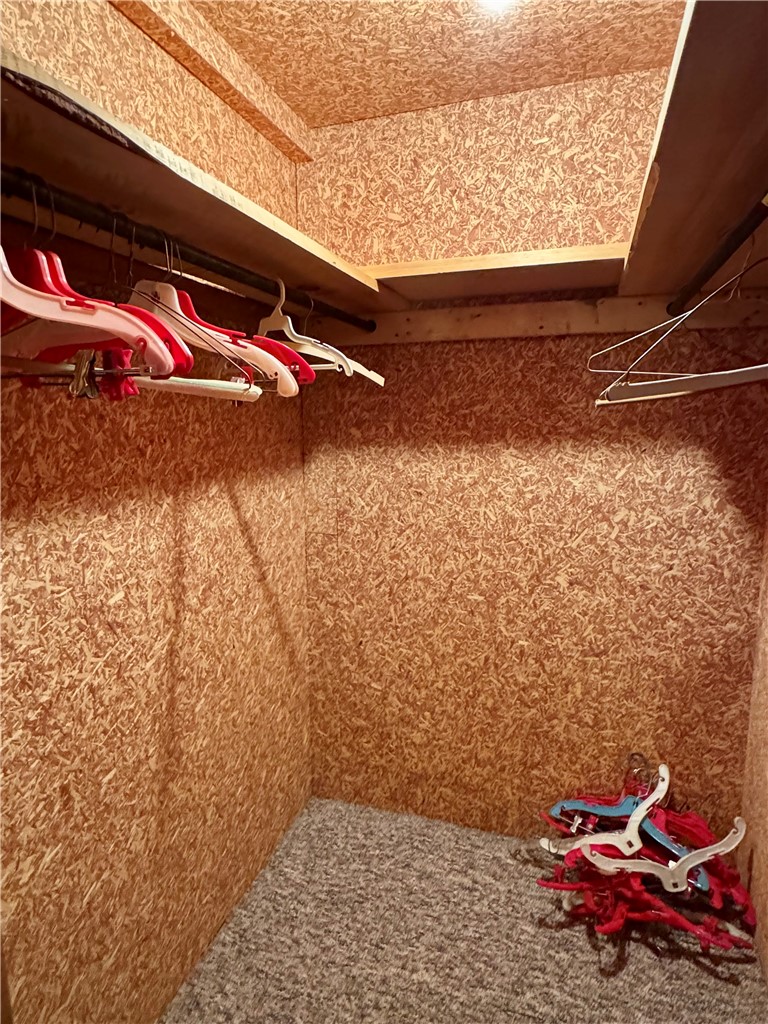 988 Swart Hollow Road Oneonta, NY 13820 - Photo 29 of 47 Cedar closet in basement
