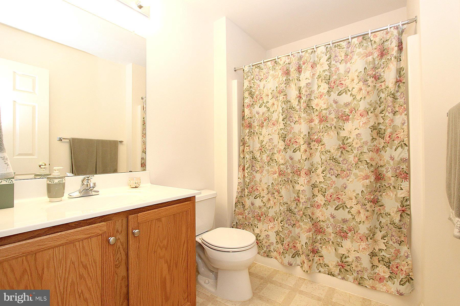 3901 Boatmans Circle Point of Rocks, MD 21777 - Photo 22 of 30 Bath