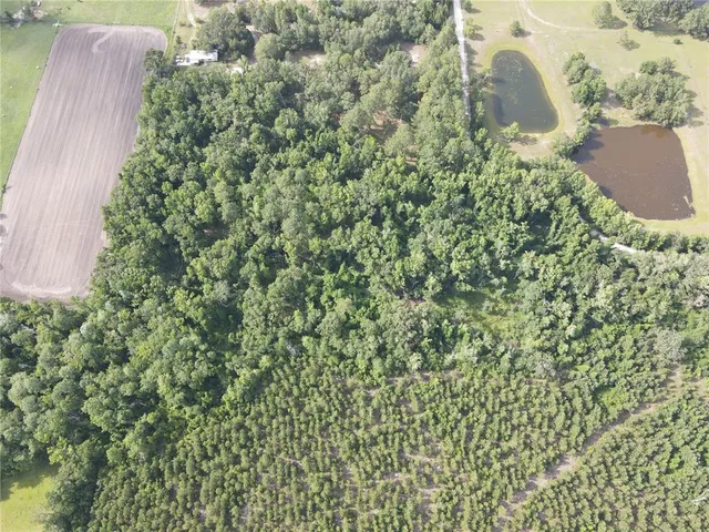 $175,000 | Tbd Northwest 67 Boulevard, Alachua, FL 32615