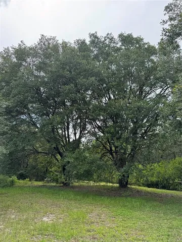 $175,000 | Tbd Northwest 67 Boulevard, Alachua, FL 32615