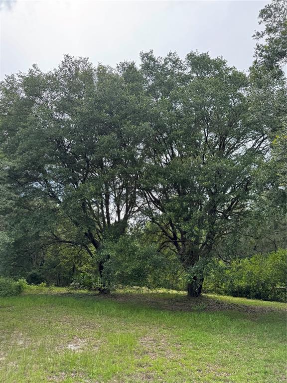 Tbd Northwest 67 Boulevard Alachua, FL 32615 - Photo 13 of 36