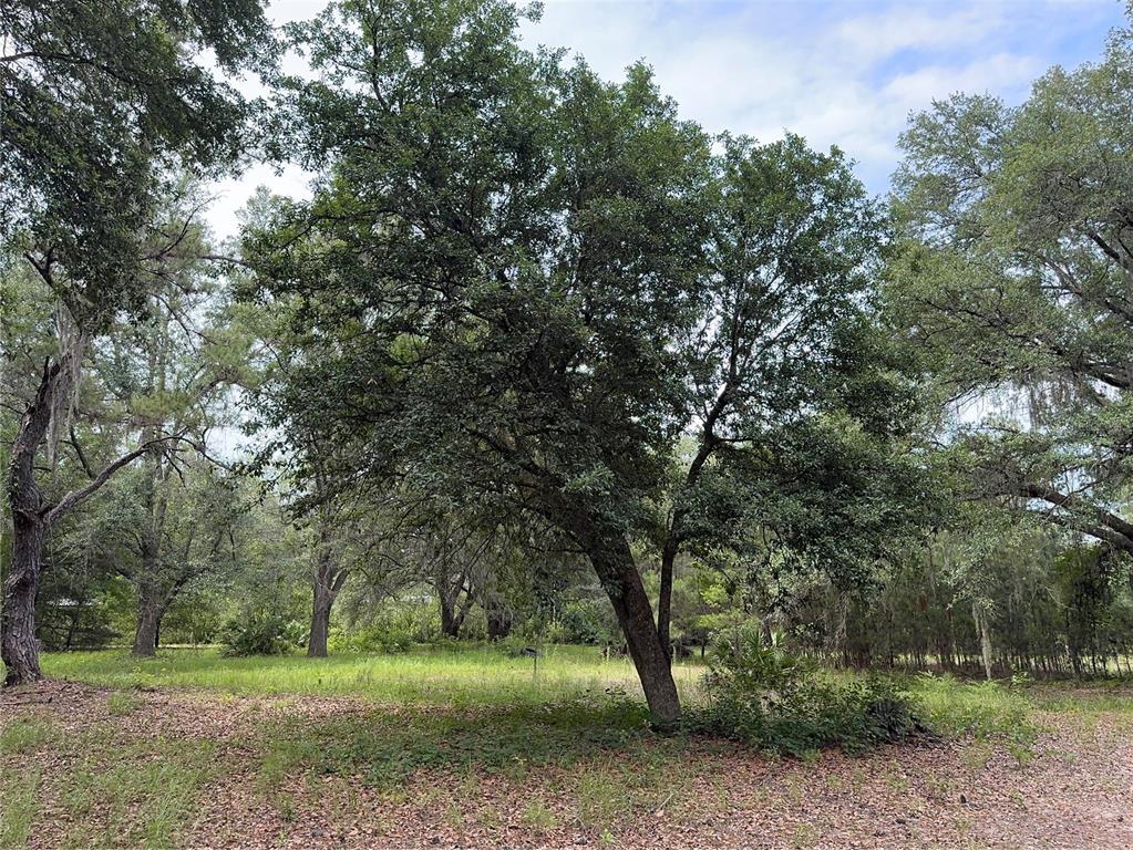 Tbd Northwest 67 Boulevard Alachua, FL 32615 - Photo 17 of 36