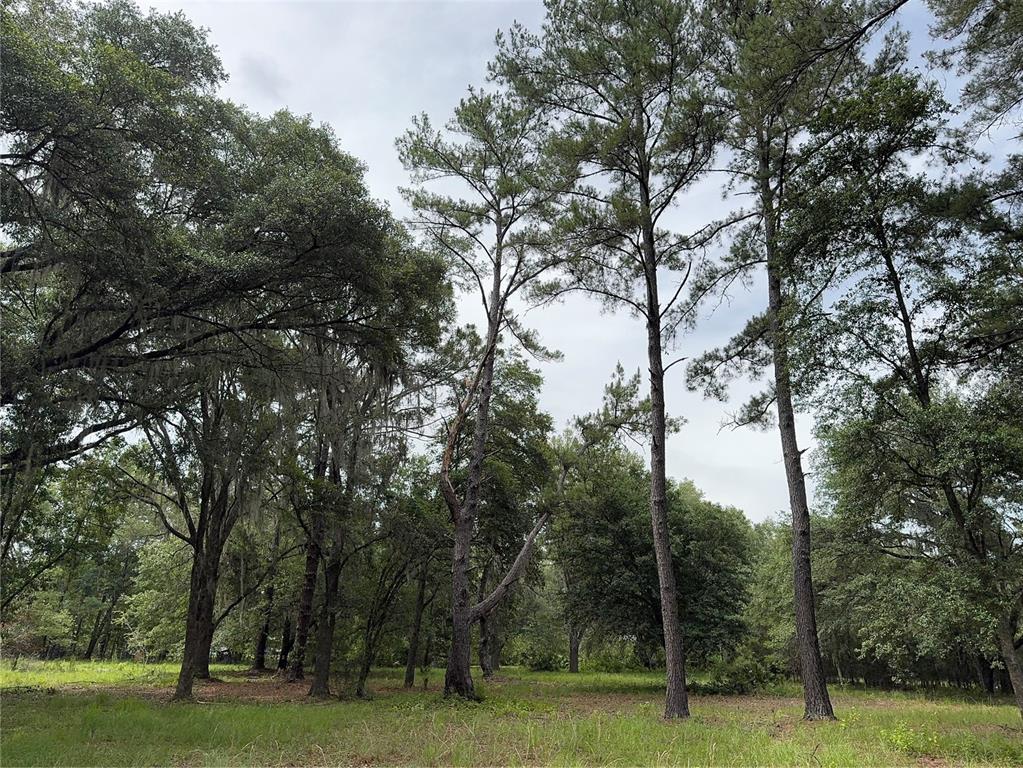 Tbd Northwest 67 Boulevard Alachua, FL 32615 - Photo 18 of 36