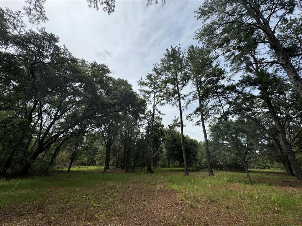 Tbd Northwest 67 Boulevard Alachua, FL 32615 - Photo 20 of 36