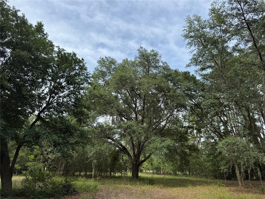 Tbd Northwest 67 Boulevard Alachua, FL 32615 - Photo 2 of 36