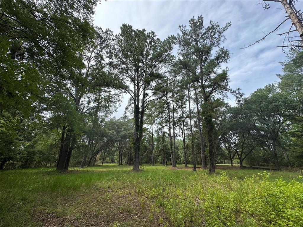 Tbd Northwest 67 Boulevard Alachua, FL 32615 - Photo 21 of 36