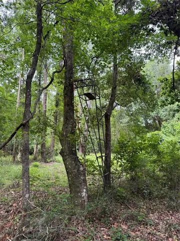 $175,000 | Tbd Northwest 67 Boulevard, Alachua, FL 32615