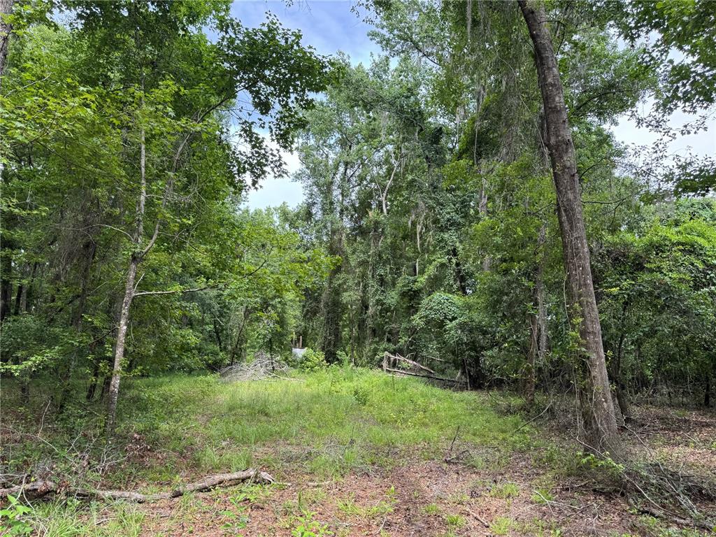 Tbd Northwest 67 Boulevard Alachua, FL 32615 - Photo 27 of 36