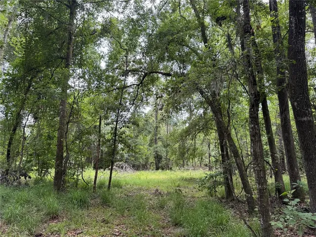 $175,000 | Tbd Northwest 67 Boulevard, Alachua, FL 32615