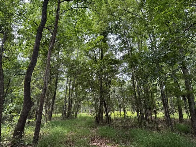 $175,000 | Tbd Northwest 67 Boulevard, Alachua, FL 32615