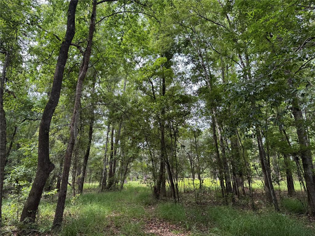 Tbd Northwest 67 Boulevard Alachua, FL 32615 - Photo 29 of 36