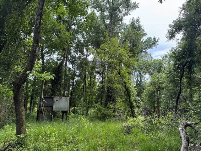 $175,000 | Tbd Northwest 67 Boulevard, Alachua, FL 32615