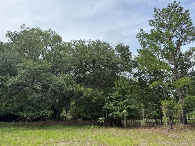 $175,000 | Tbd Northwest 67 Boulevard, Alachua, FL 32615