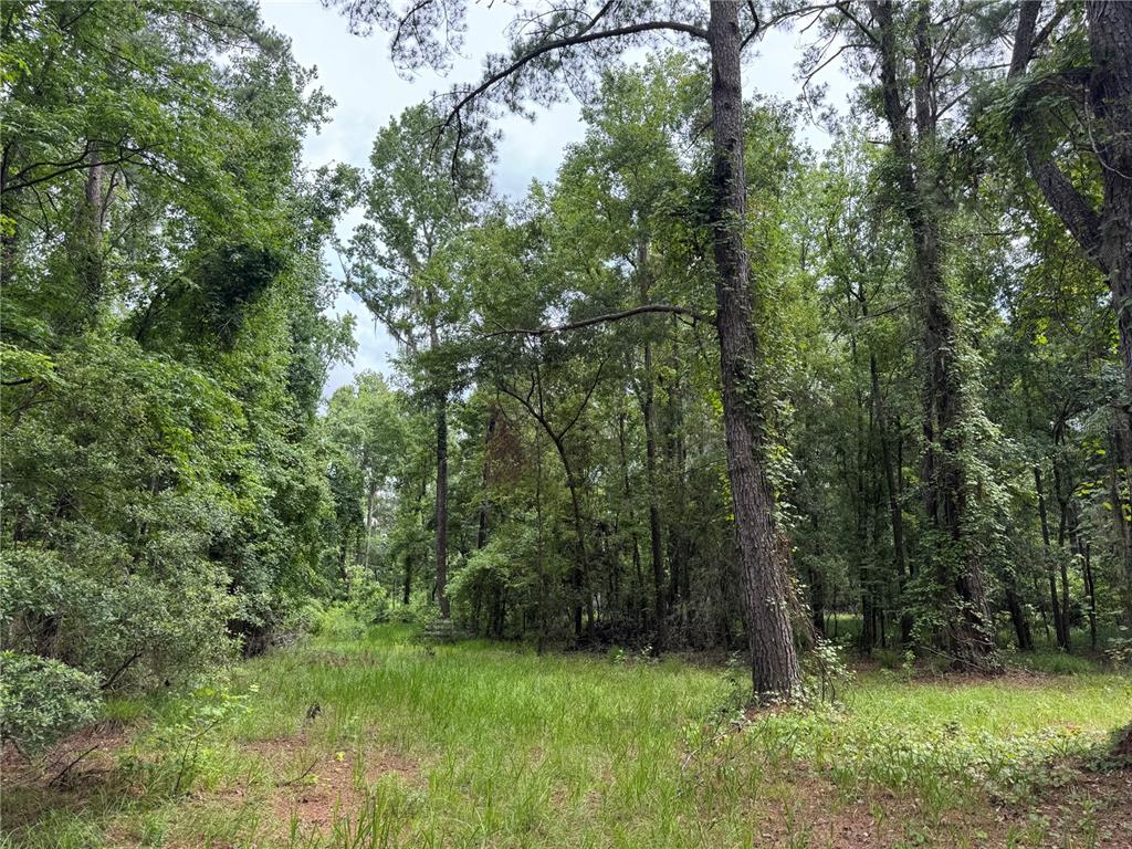 Tbd Northwest 67 Boulevard Alachua, FL 32615 - Photo 31 of 36