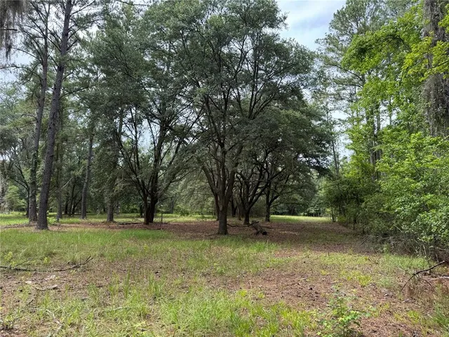 $175,000 | Tbd Northwest 67 Boulevard, Alachua, FL 32615