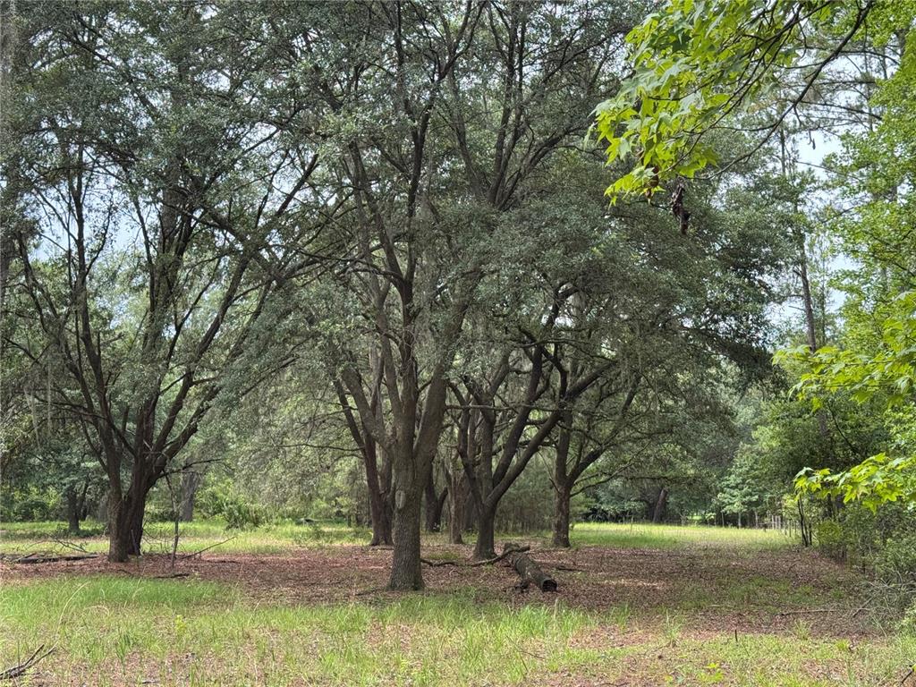 Tbd Northwest 67 Boulevard Alachua, FL 32615 - Photo 35 of 36