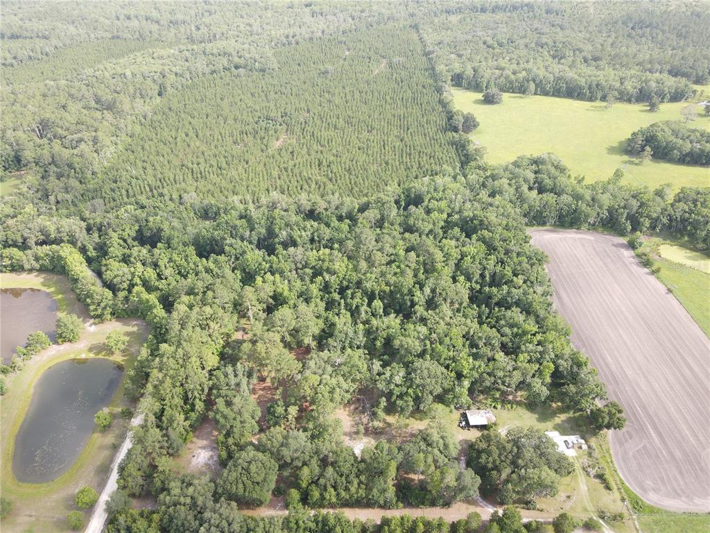 Tbd Northwest 67 Boulevard Alachua, FL 32615 - Photo 36 of 36