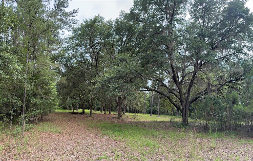 Tbd Northwest 67 Boulevard Alachua, FL 32615 - Photo 5 of 36