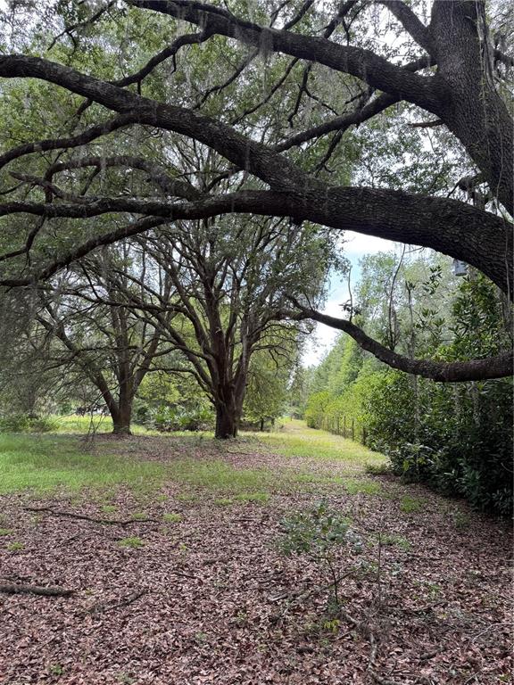 Tbd Northwest 67 Boulevard Alachua, FL 32615 - Photo 8 of 36