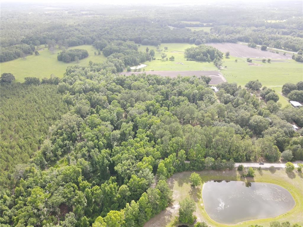 Tbd Northwest 67 Boulevard Alachua, FL 32615 - Photo 9 of 36