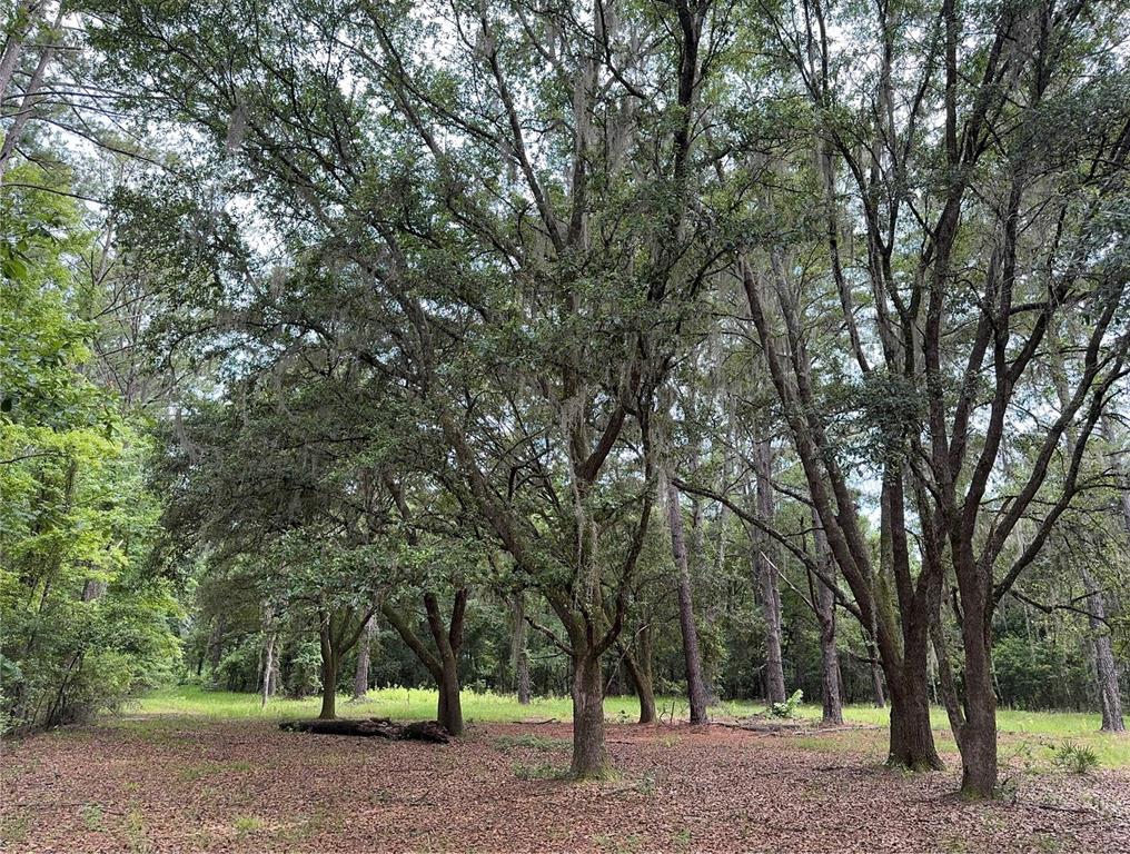 Tbd Northwest 67 Boulevard Alachua, FL 32615 - Photo 10 of 36