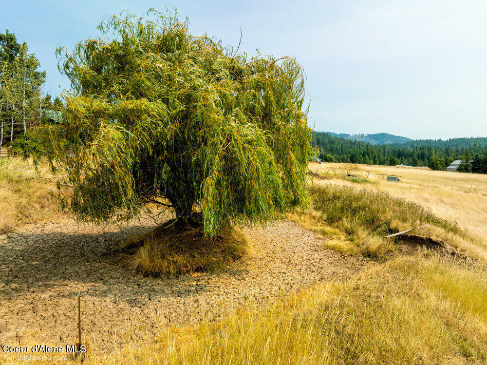 6647 East Mullan Trail Road Coeur D'Alene, ID 83814 - Photo 26 of 44 026_bb193366-26_883