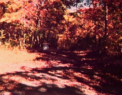 6620 Gray Fryar Road Signal Mountain, TN 37377 - Photo 1 of 1 Primary Photo