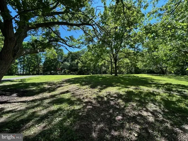 a view of a field with a big trees