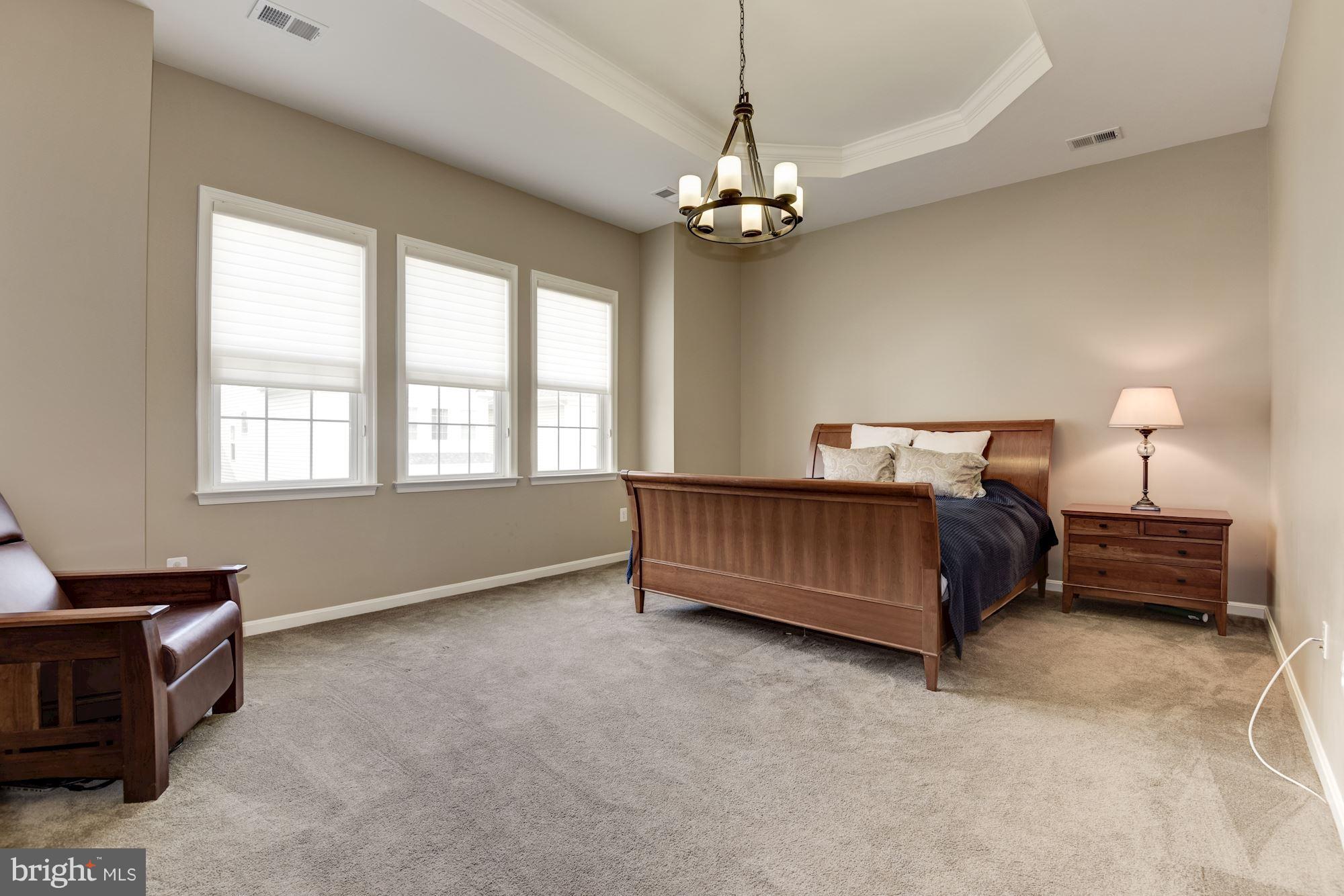 6015 Masondale Road Alexandria, VA 22315 - Photo 20 of 30 Spacious Owners Suite with Tray Ceiling, Dream WIC