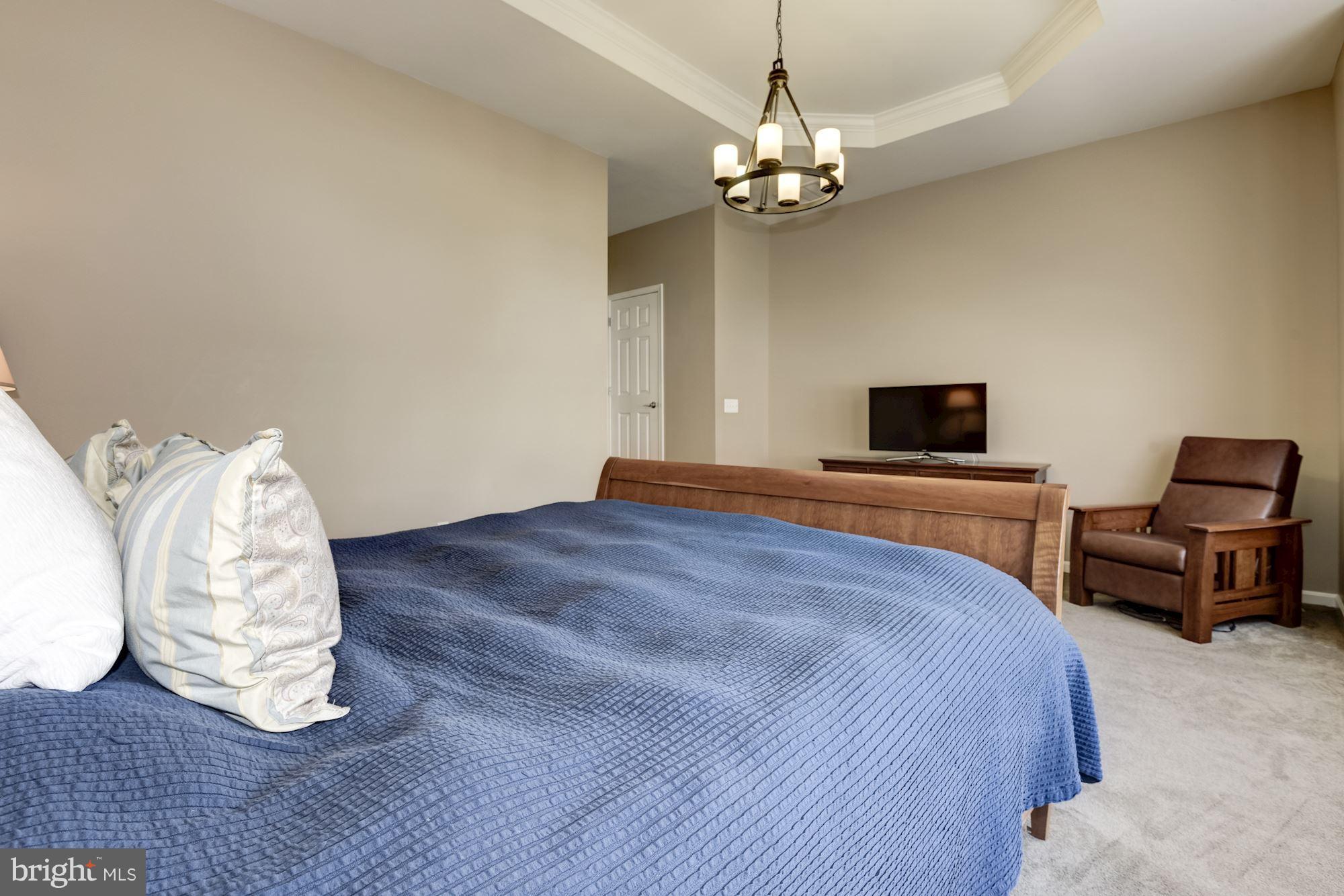 6015 Masondale Road Alexandria, VA 22315 - Photo 21 of 30 Super Tall Ceilings, Custom Silhouette Blinds