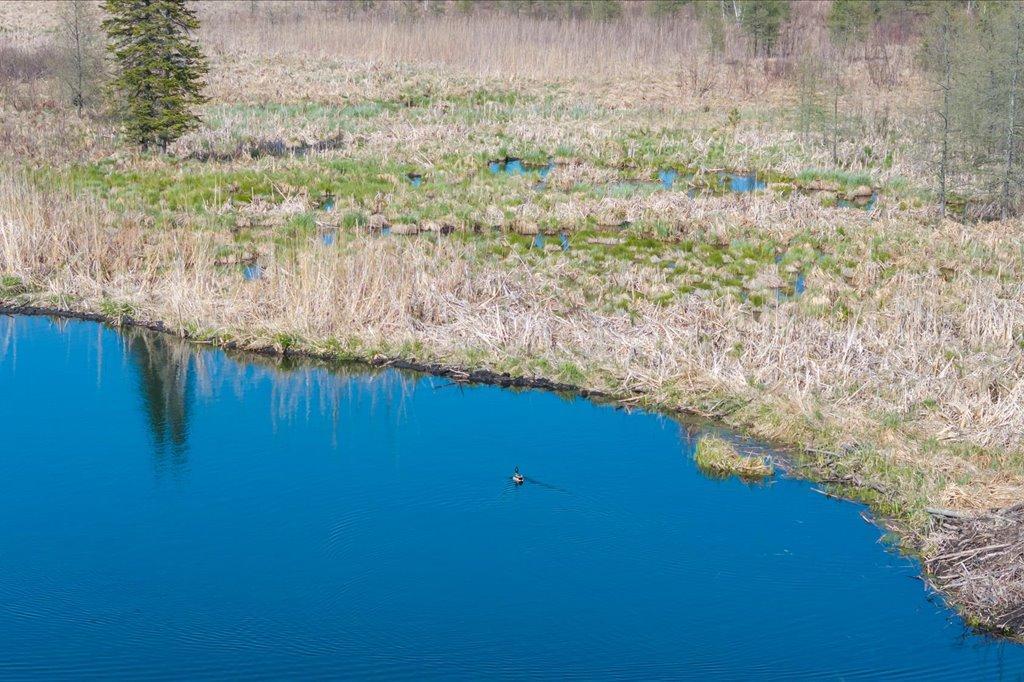 9382 County Road 8 Brainerd, MN 56401 - Photo 21 of 108