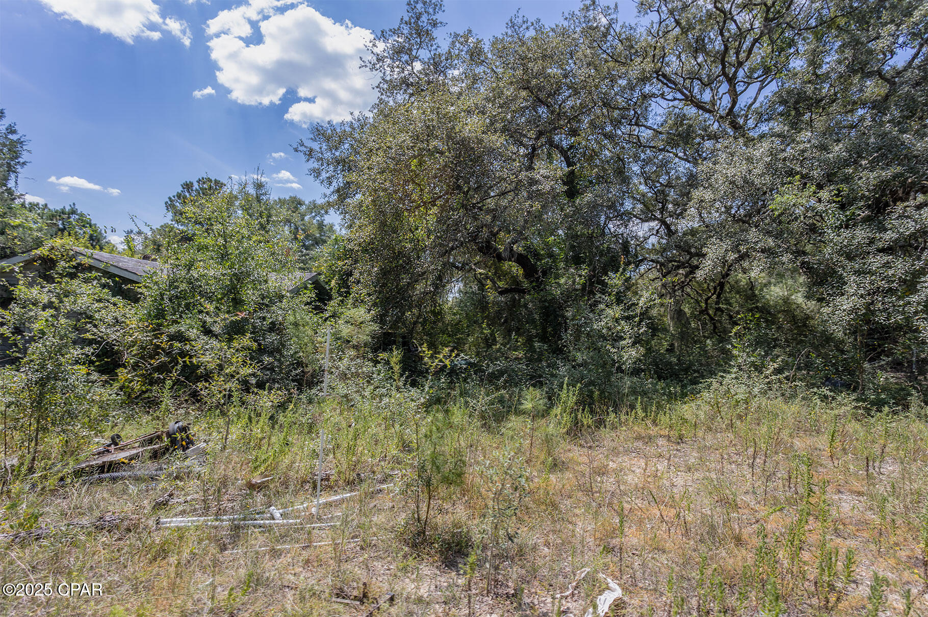 3651 Union Hill Road Bonifay, FL 32425 - Photo 11 of 15