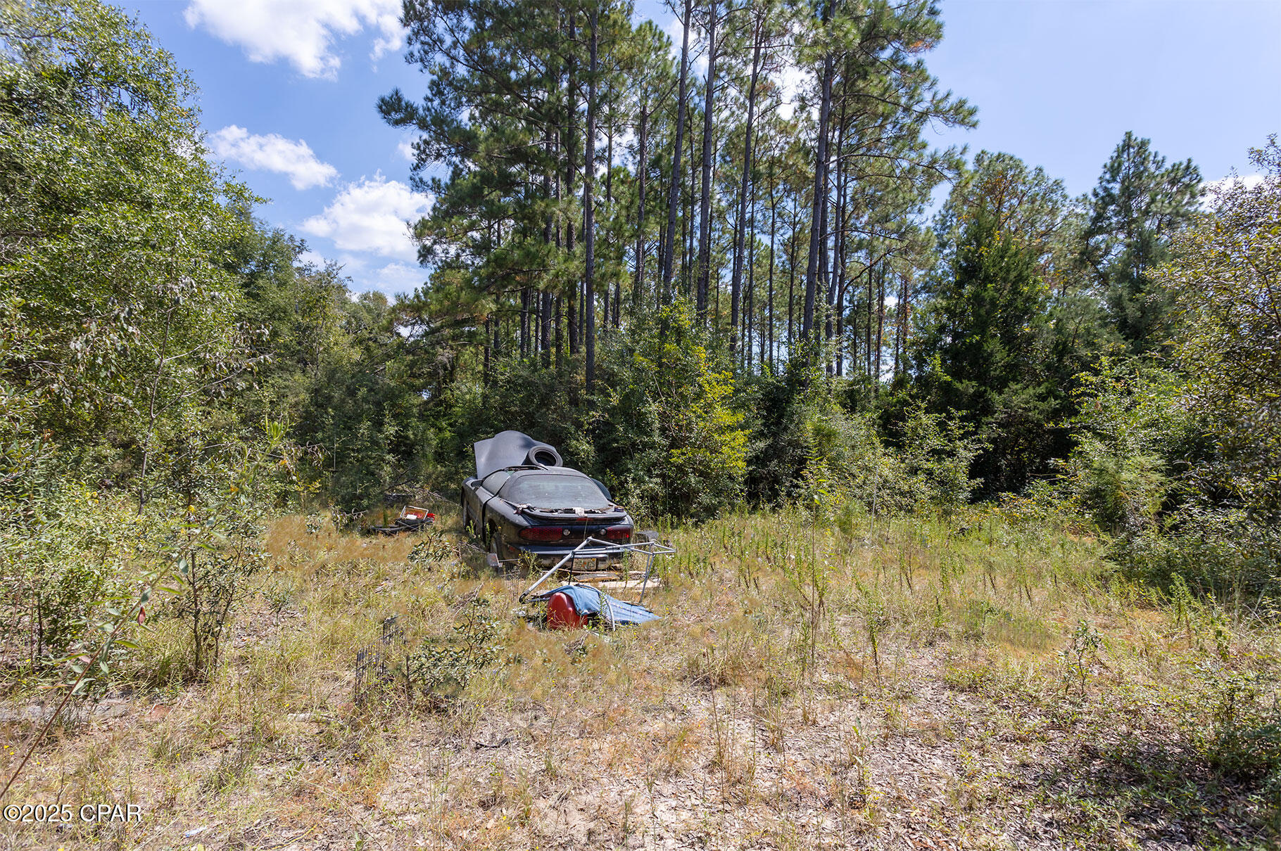 3651 Union Hill Road Bonifay, FL 32425 - Photo 13 of 15