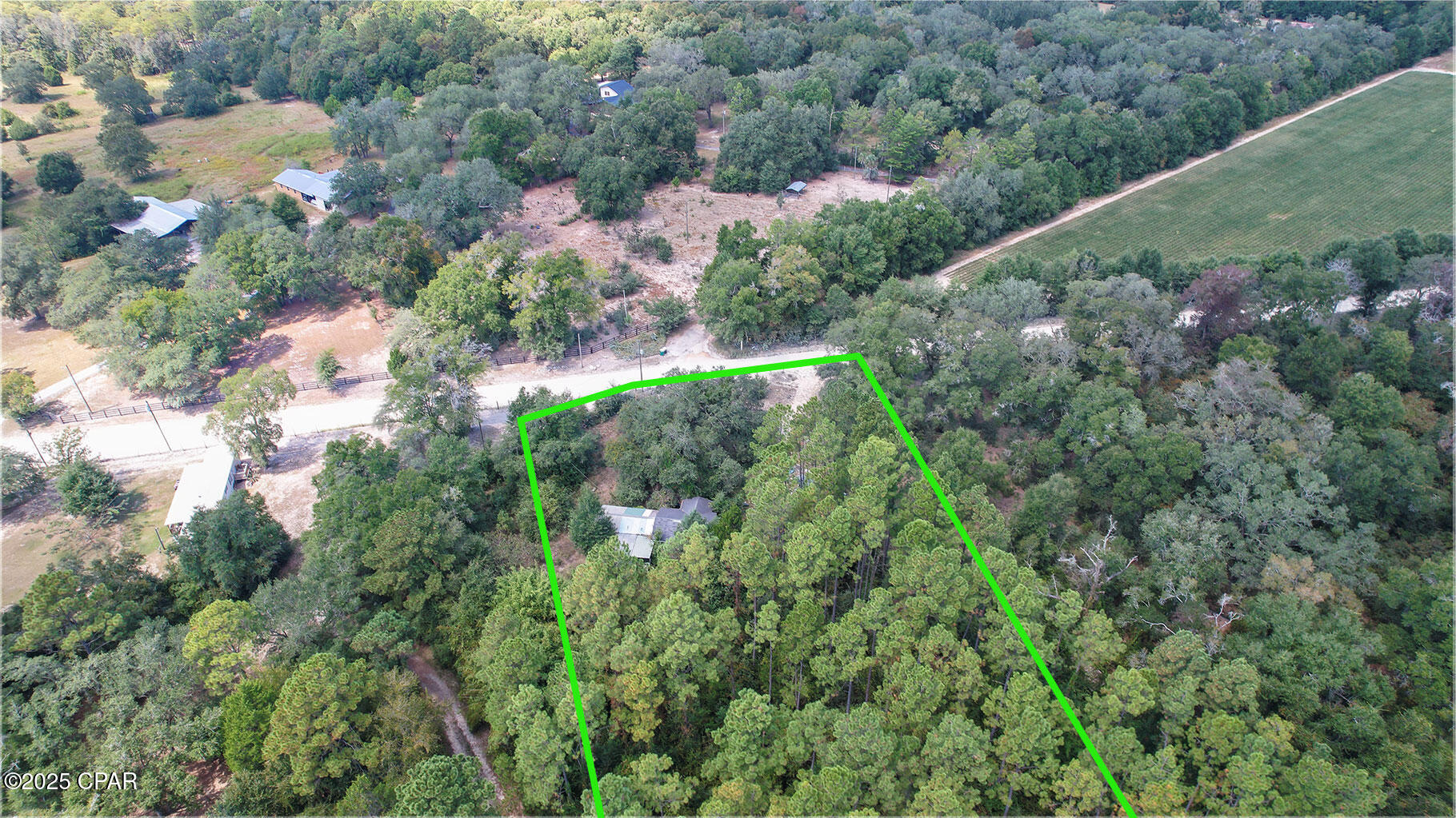 3651 Union Hill Road Bonifay, FL 32425 - Photo 6 of 15