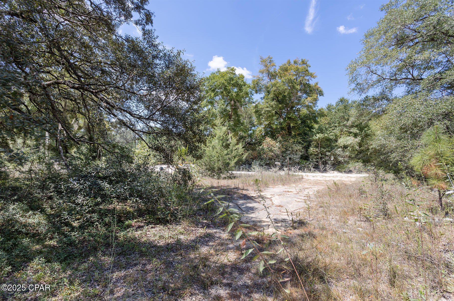 3651 Union Hill Road Bonifay, FL 32425 - Photo 8 of 15