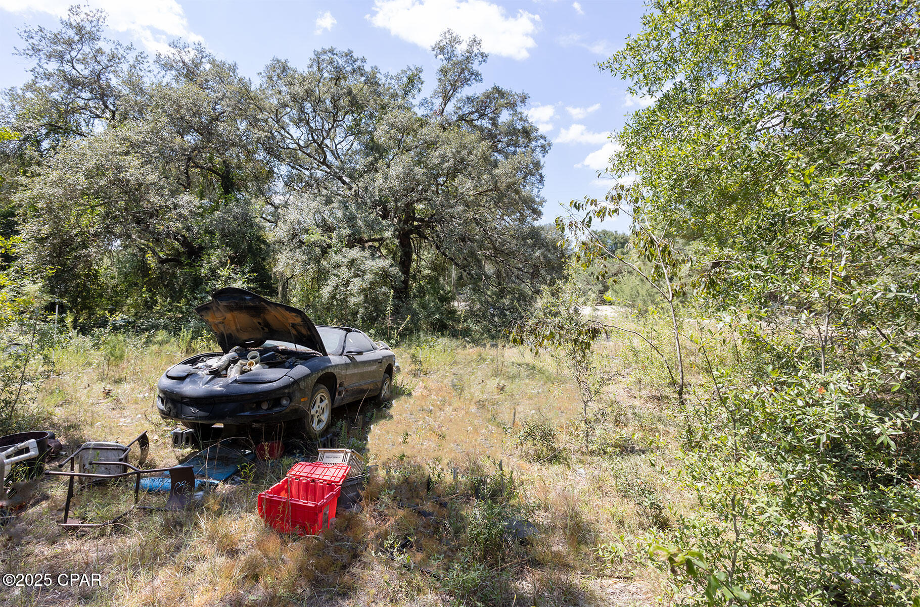 3651 Union Hill Road Bonifay, FL 32425 - Photo 9 of 15