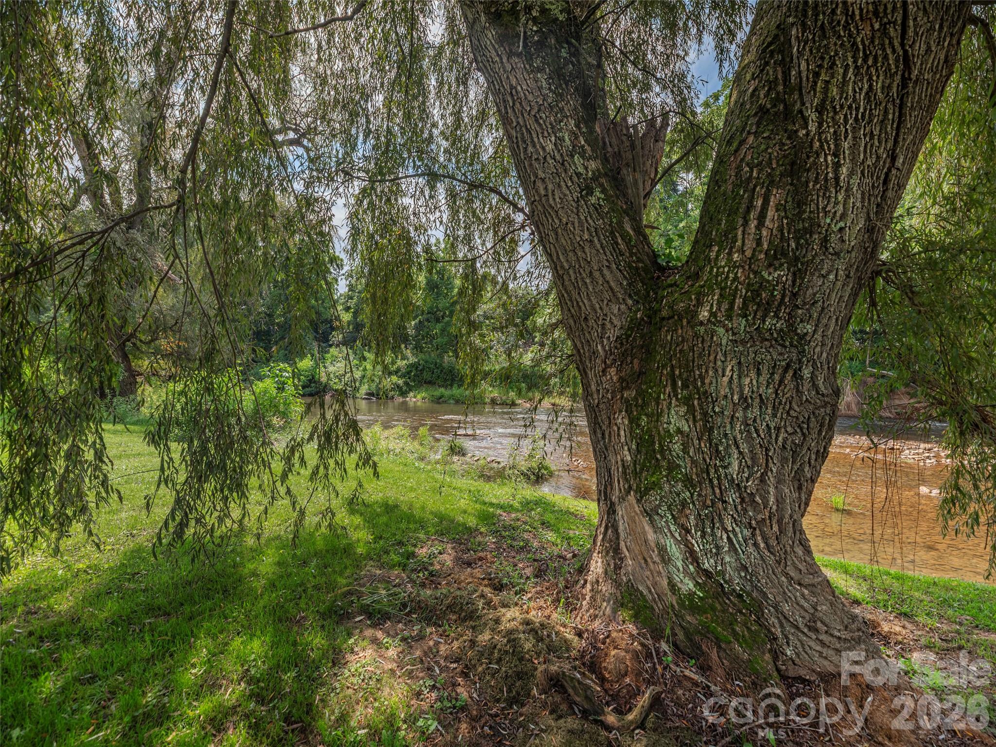 248 Max Thompson Road Canton, NC 28716 - Photo 35 of 44