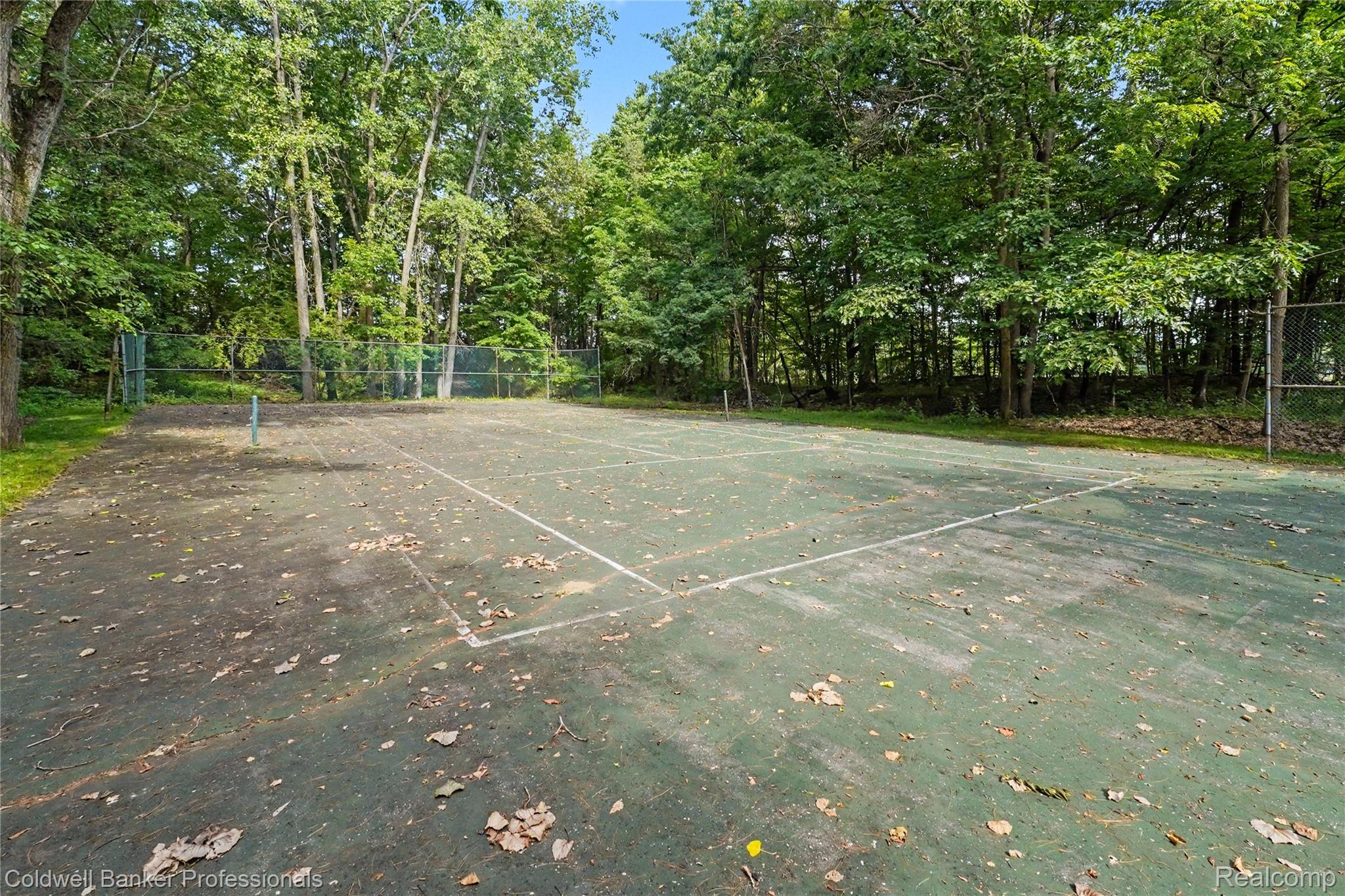 3583 Mitchell Road Metamora, MI 48455 - Photo 52 of 58 Outdoor athletic court surrounded by mature trees and perimeter fencing