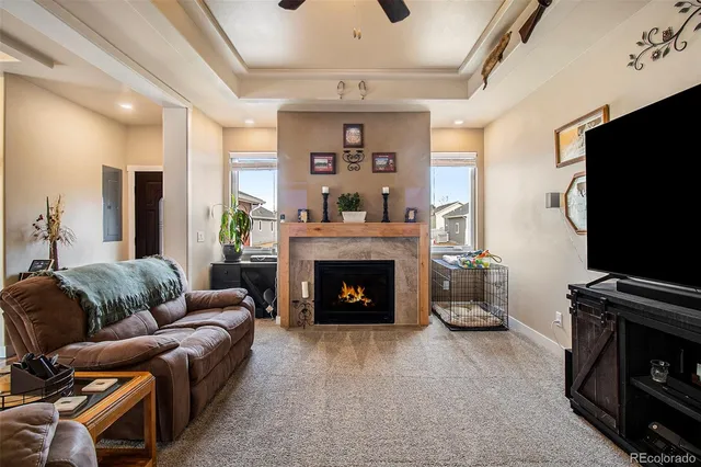 a living room with furniture a flat screen tv and a fireplace