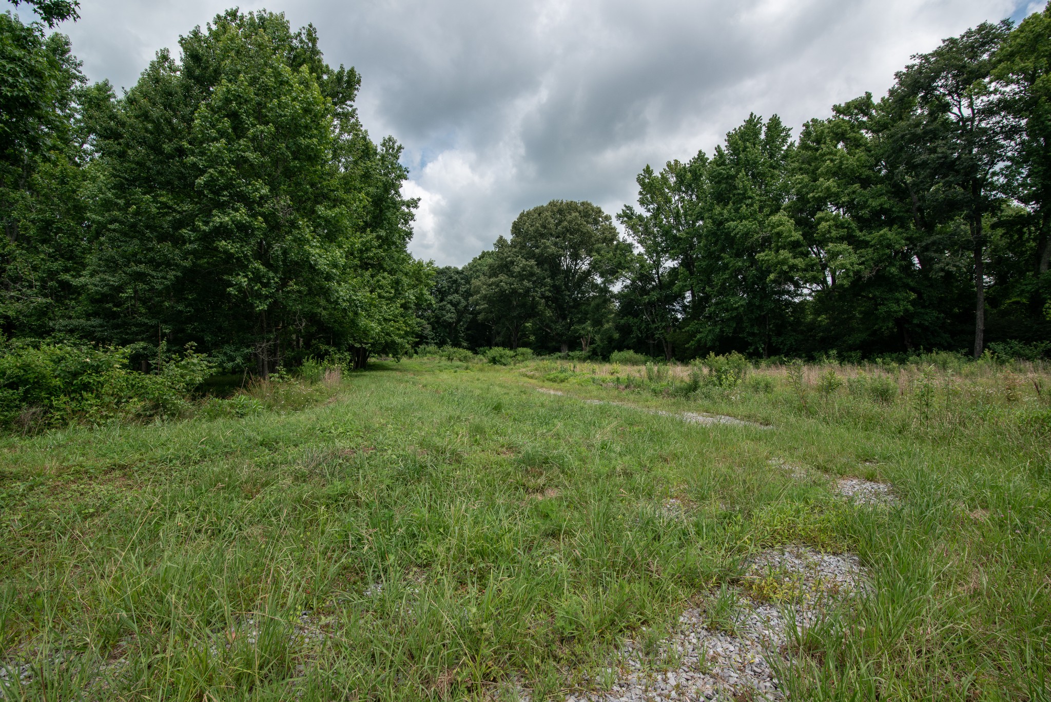 169 Pendergrass Road Flintville, TN 37335 - Photo 11 of 16